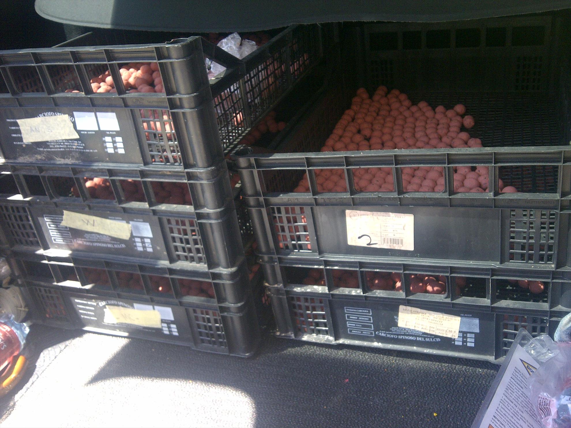 pregatiri - volpiano-20130529-00388.jpg